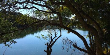 Explore a Floresta das Corredeiras